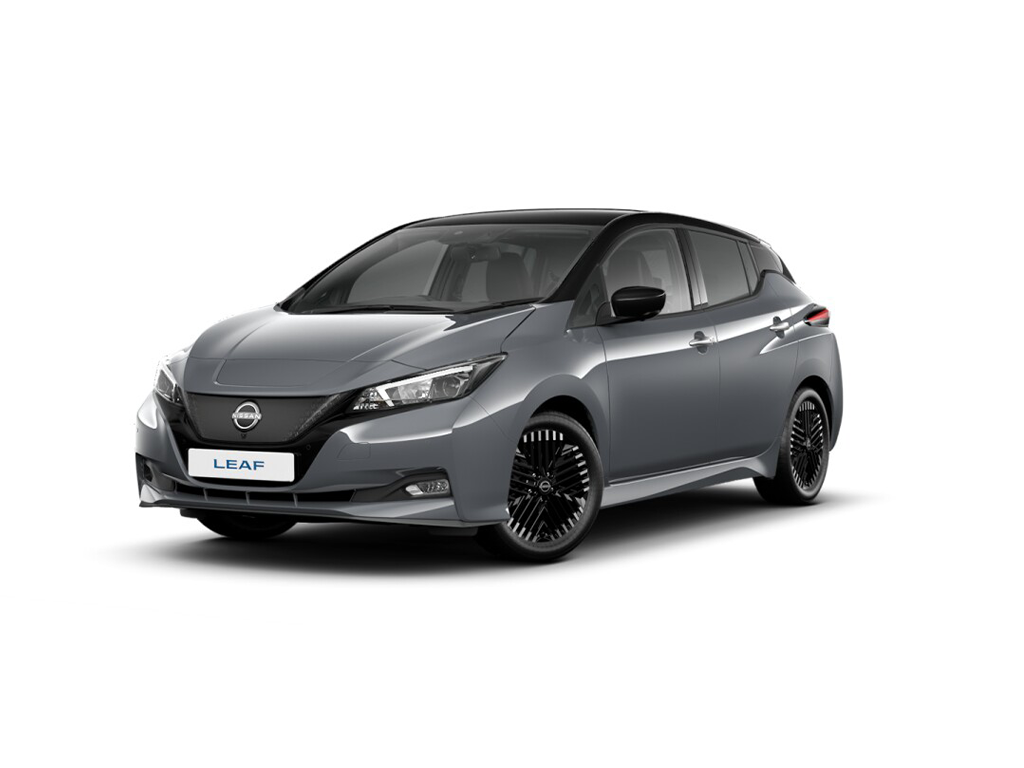 stock/newcarmaster/nissan_leaf_two-tone-special-paint-ceramic-grey-pearl-black-roof-and-door-mirrors